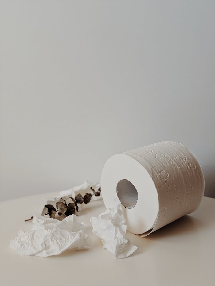 Artistic still life of toilet paper, eucalyptus, and tissues in a minimalist setting.